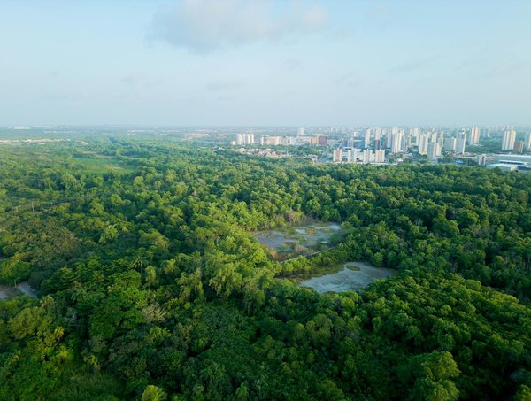 Web-séries : L'avenir de l'animation ?