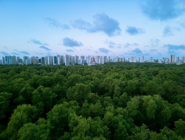 Les symboles de la médaille de la vierge marie et leurs significations